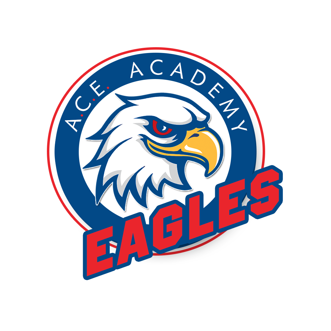A.C.E Academy