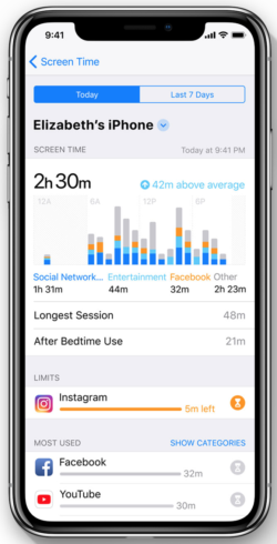 iOS 12 Screen Time Graph Report
